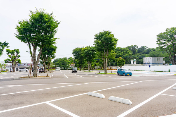 バラ公園-2306243