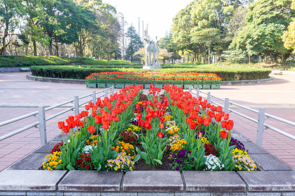 引地台公園-2204102