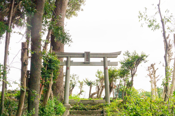 名称未設定-202204281-2