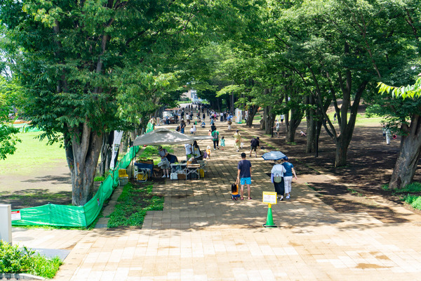 水の遊び場-2307021