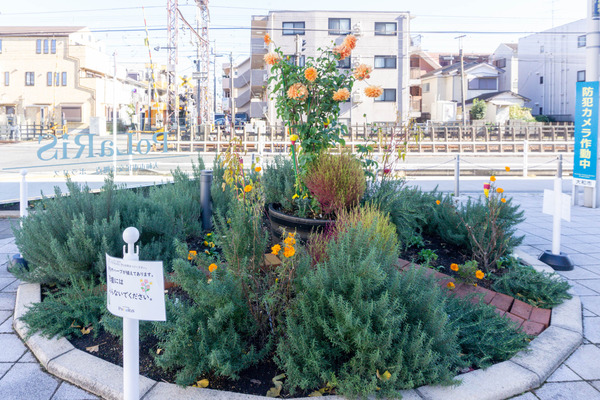 名称未設定-2412031-8