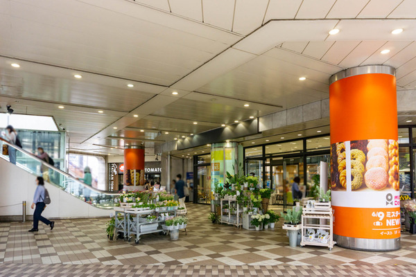 ミスド-2306162