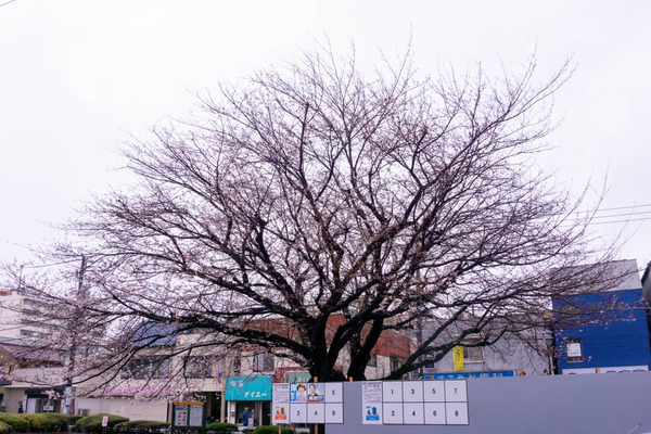 名称未設定-2303231-2