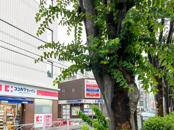 名称未設定-2410081-7