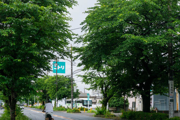 大和市から一番近いニトリの雑貨店「デコホーム」はどこ？【やまとクイズ】
