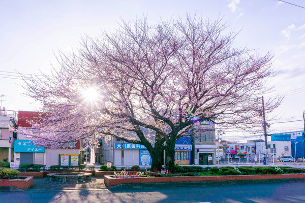 桜ヶ丘駅-22032816