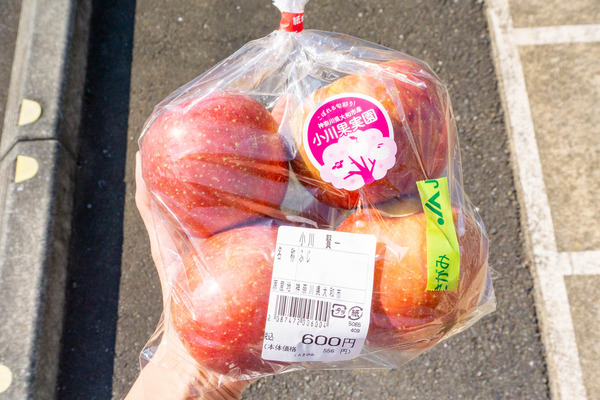 りんご-2211041