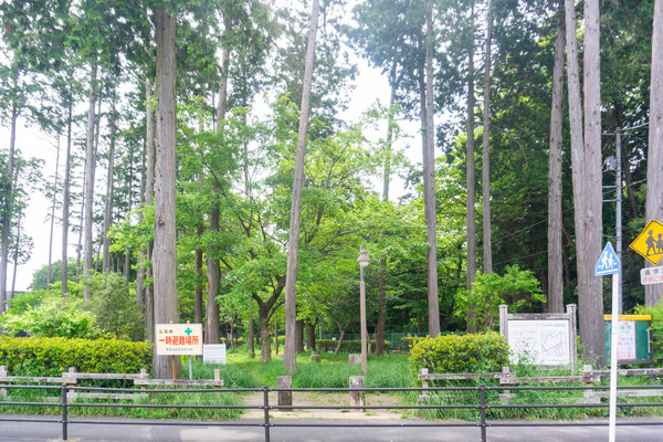 宇都宮記念公園-22050622