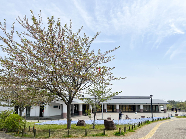 名称未設定-2504181-10