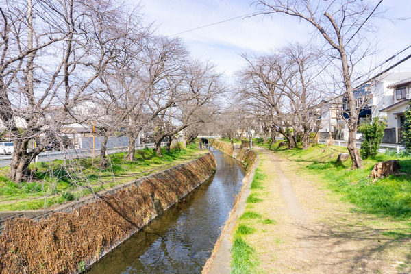 風景-2303042
