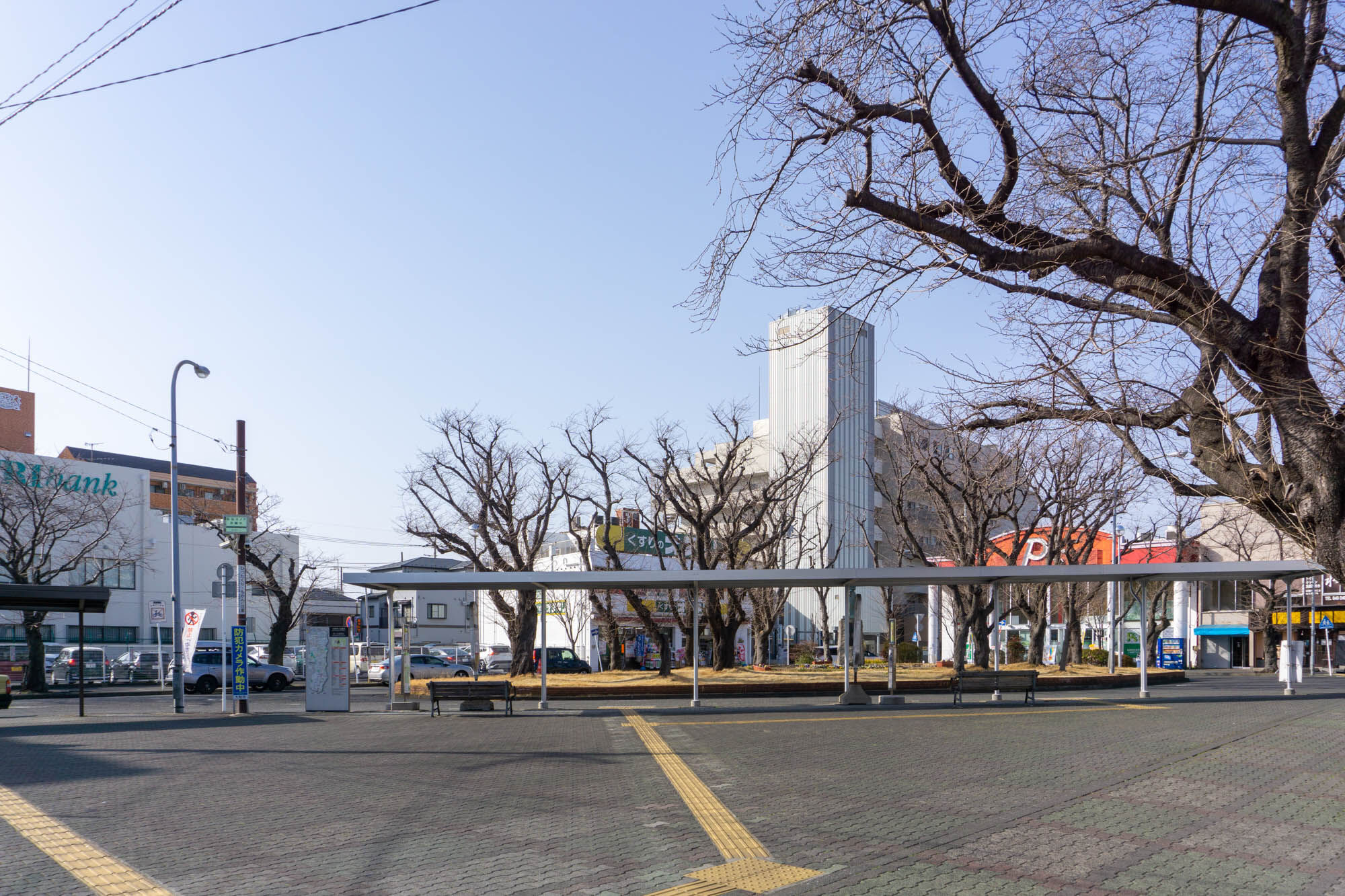 春にその本領を発揮 桜ヶ丘駅 編 大和市の各駅を巡る旅 大和とぴっく やまとぴ