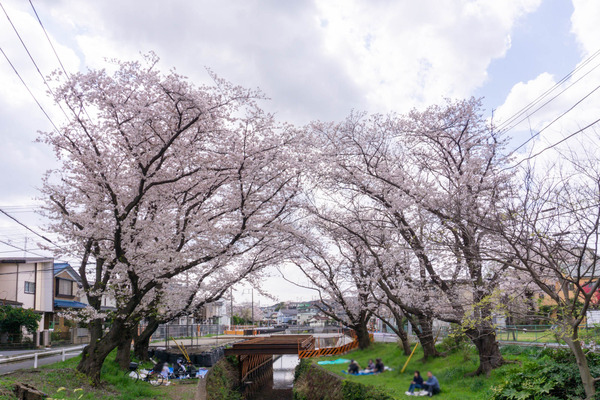 名称未設定-2303291-9