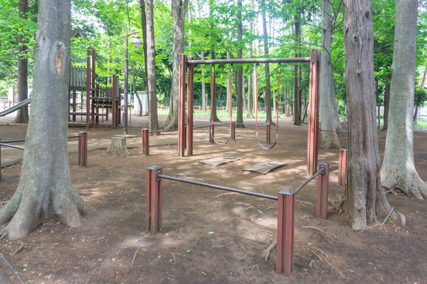 宇都宮記念公園-2205066