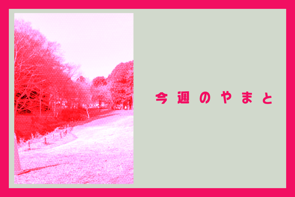 やまと2026-復元