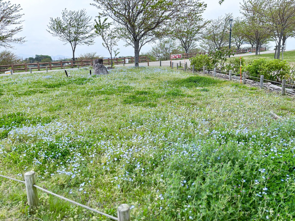 名称未設定-2304141-4