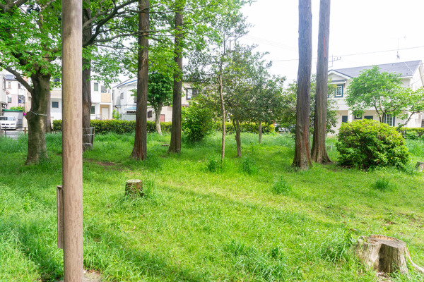 宇都宮記念公園-22050620