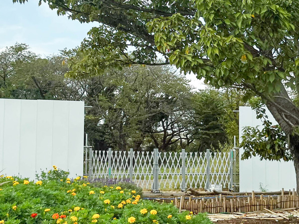 名称未設定-2509271-2