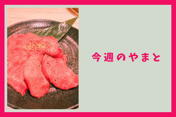 今週のもりかど・やまと
