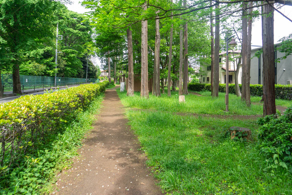 宇都宮記念公園-22050613