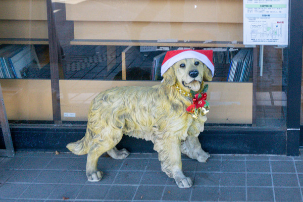 名称未設定-2512051-17