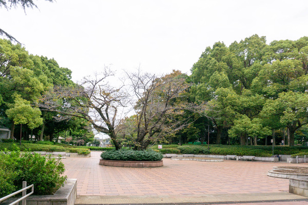 名称未設定-2310311-24