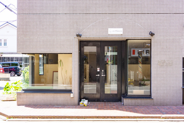 ミモザ-2206133