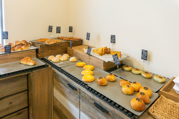 名称未設定-2308061-16