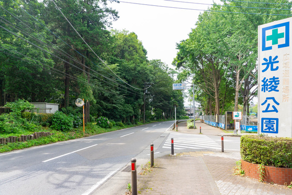 バラ公園-23062412