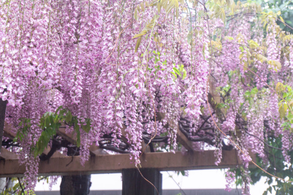 名称未設定-2304261-8