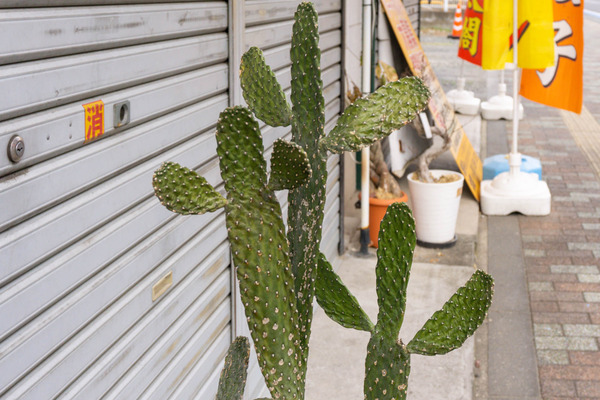 名称未設定-2412131-27