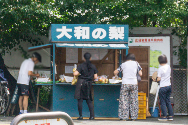 名称未設定-2308091-8