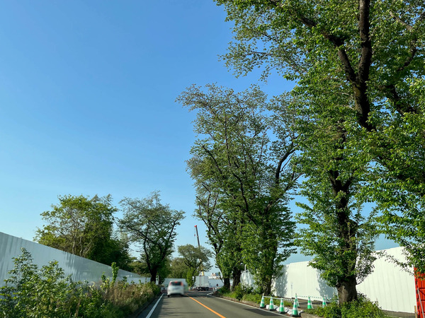 名称未設定-2504251-11