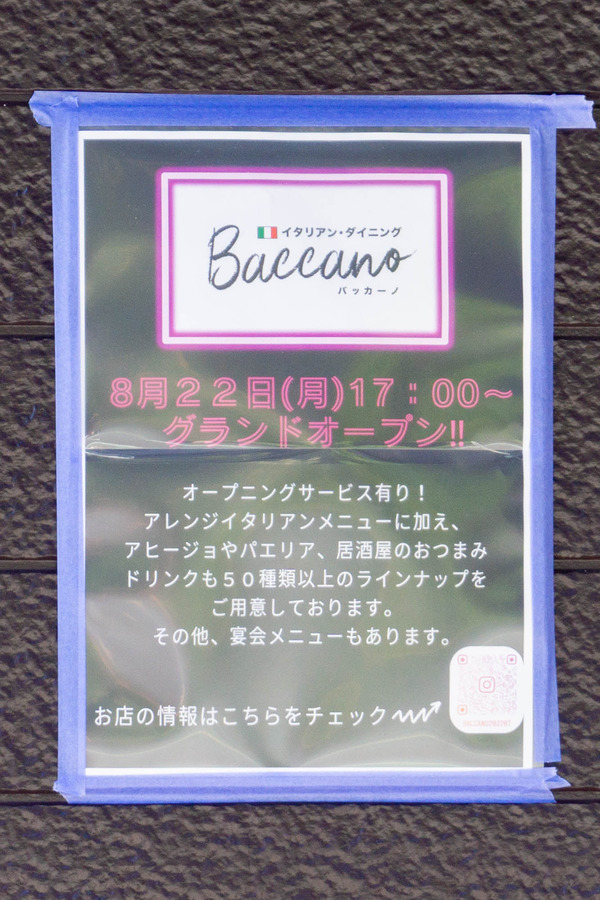 バッカーノ2-2208101