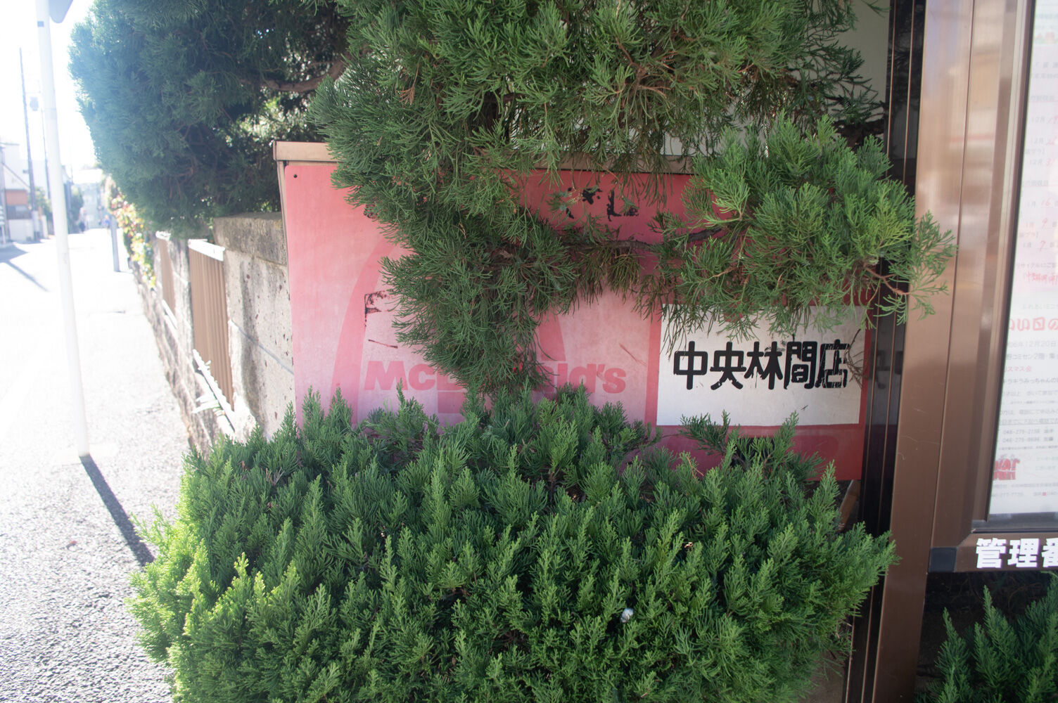 隠れマクドナルド見つかる【やまとぴフォト】 : 大和とぴっく-やまとぴ