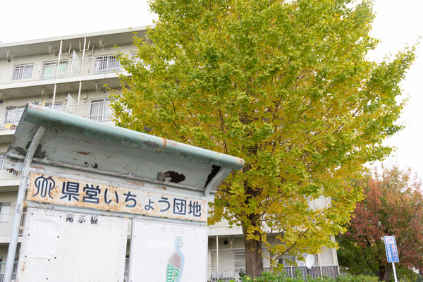 名称未設定-2211221-9