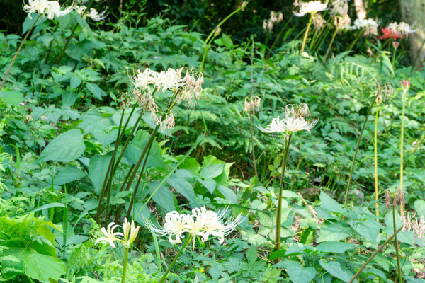 名称未設定-2310021-4