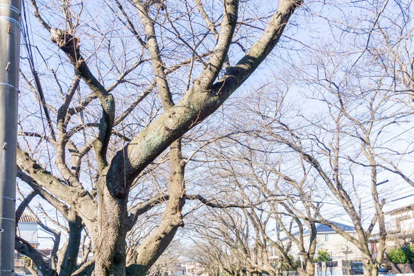 名称未設定-202202221-やまとぴ記事用-13