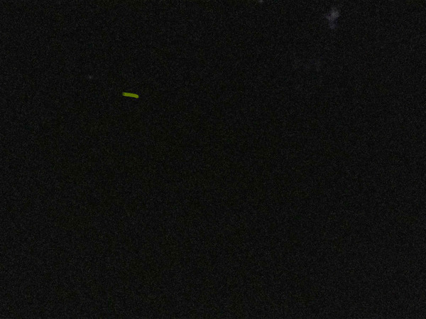 名称未設定-2407011-3