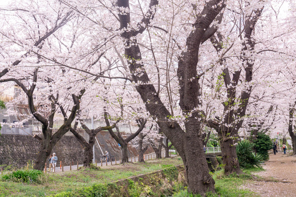 名称未設定-2303291-19