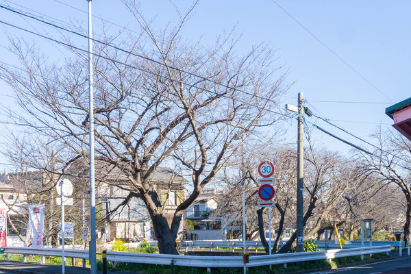 名称未設定-202202221-やまとぴ記事用-12