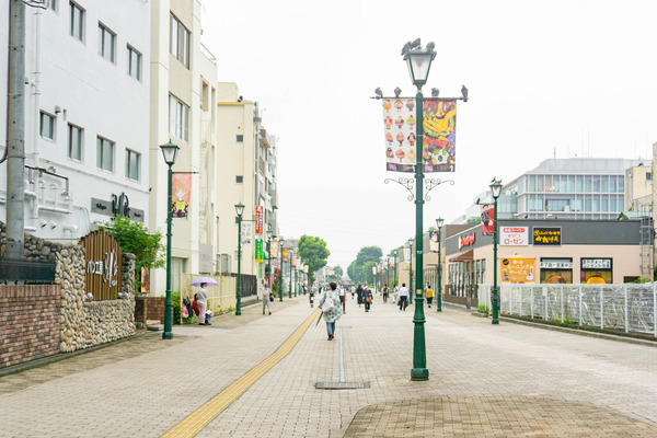 風景・図書館の道-2208041