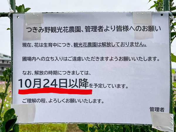 名称未設定-2510251-3