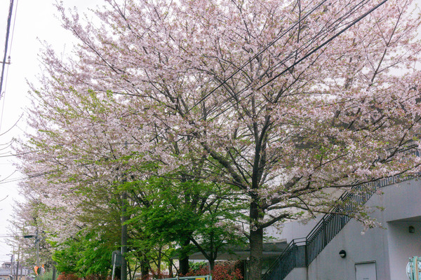 名称未設定-2404121-30