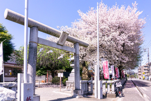 名称未設定-2404101-18