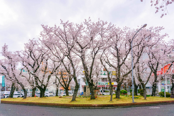 桜ヶ丘駅紹介-2203311