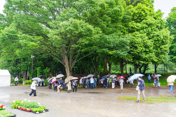 大和市民まつり-23051415