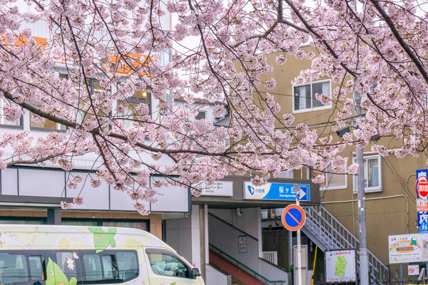 桜ヶ丘駅紹介-2203318
