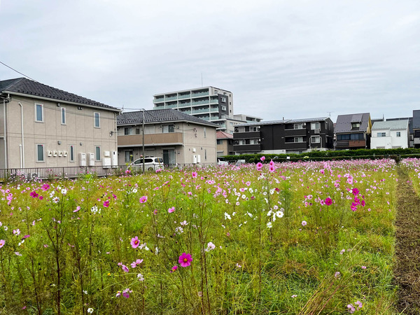 名称未設定-2510251-2