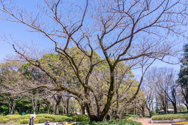 名称未設定-2403271-9