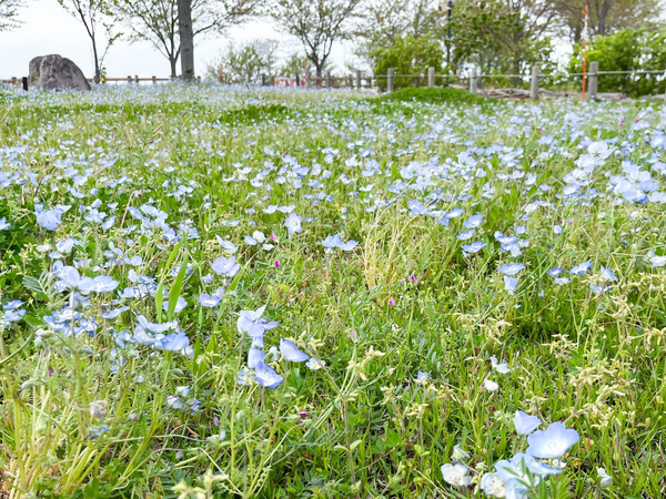 名称未設定-2304141